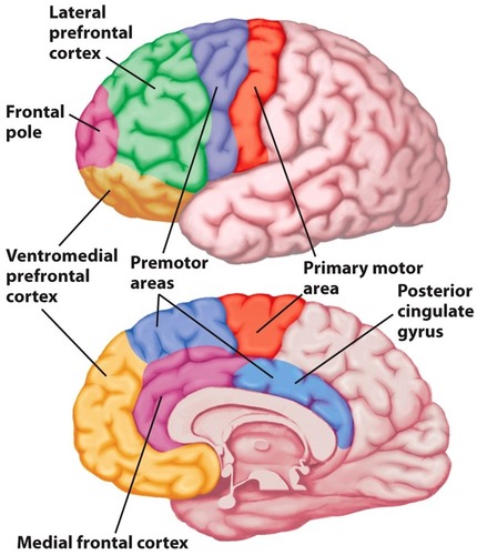 pfc-detailed.jpg
